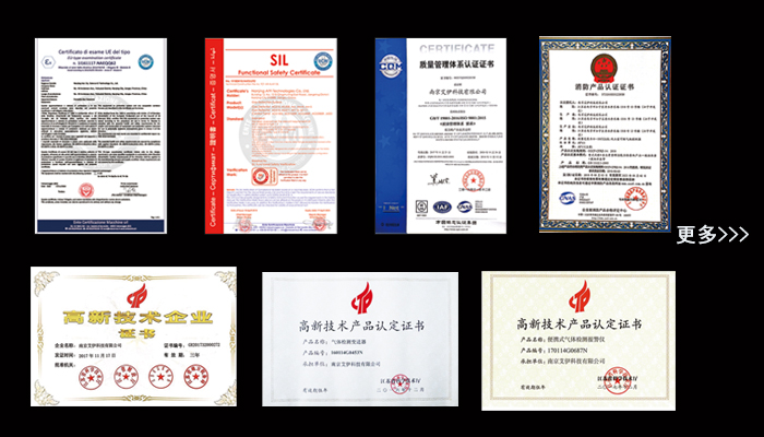 資質11.jpg 資質11.jpg