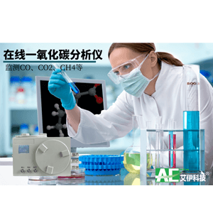 一氧化碳在線(xiàn)監(jiān)測(cè)系統(tǒng)