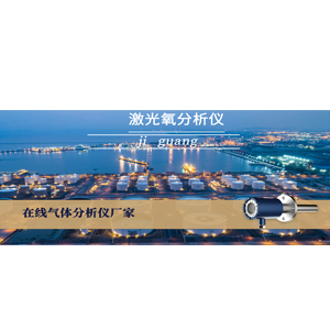 防爆原位式激光氧含量分析儀 防爆原位式激光氧含量分析儀